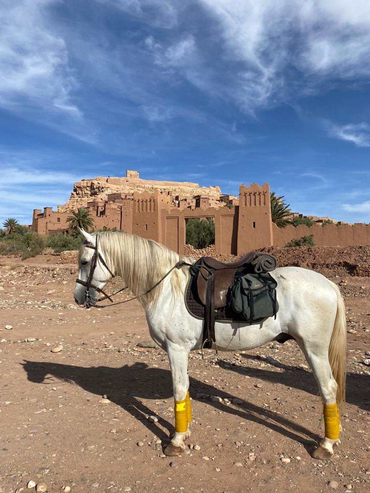 taman'art space Ait ben haddou Exterior foto